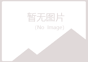 永修县初夏冶炼有限公司